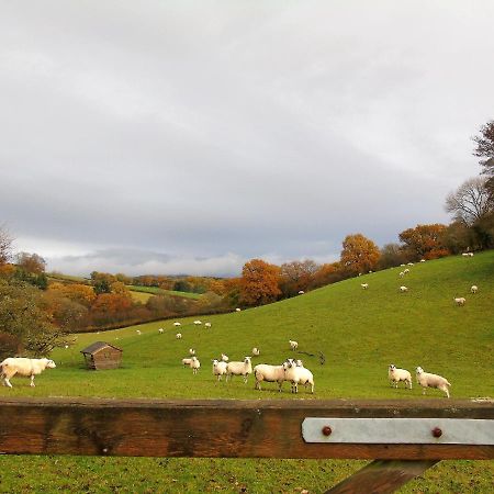 Gwilym'S Stable Apartment Builth Wells Exterior foto