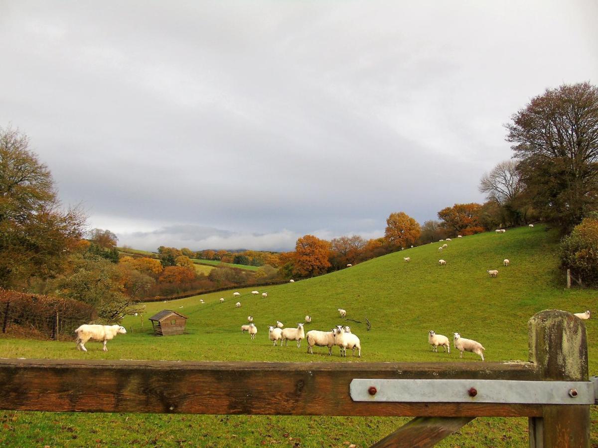 Gwilym'S Stable Apartment Builth Wells Exterior foto